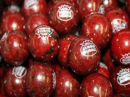 Dubble Bubble 1 Inch Gumballs Black Cherry 1lb 